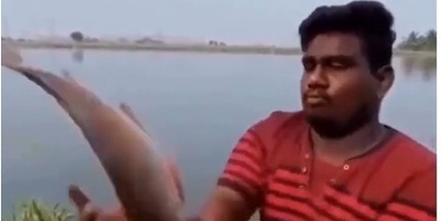 سریع‌تر از یوزپلنگ، کوتاه‌تر از خمیازه؛ رابطه خنده‌دار و پردردسرِ من و درآمدم 😁+ فیلم