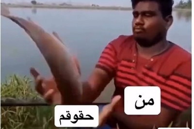 سریع‌تر از یوزپلنگ، کوتاه‌تر از خمیازه؛ رابطه خنده‌دار و پردردسرِ من و درآمدم 😁+ فیلم