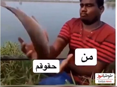 سریع‌تر از یوزپلنگ، کوتاه‌تر از خمیازه؛ رابطه خنده‌دار و پردردسرِ من و درآمدم 😁+ فیلم