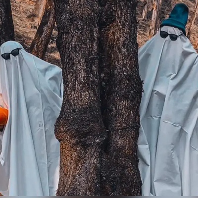 جزئیات تور هالووین با قیمتی غیرقابل باور در جنگل‌های ایران+فیلم