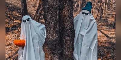 جزئیات تور هالووین با قیمتی غیرقابل باور در جنگل‌های ایران+فیلم