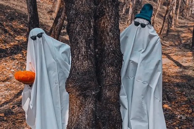 جزئیات تور هالووین با قیمتی غیرقابل باور در جنگل‌های ایران+فیلم