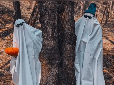 جزئیات تور هالووین با قیمتی غیرقابل باور در جنگل‌های ایران+فیلم