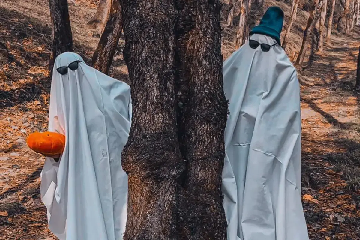 جزئیات تور هالووین با قیمتی غیرقابل باور در جنگلهای ایران+فیلم