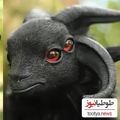 12 حیوان عجیب که اگر ازشون فیلم نمی‌گرفتن، هیچ‌کس باورش نمی‌کرد وجود دارن!