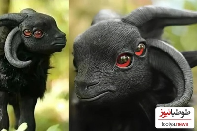 12 حیوان عجیب که اگر ازشون فیلم نمی‌گرفتن، هیچ‌کس باورش نمی‌کرد وجود دارن!