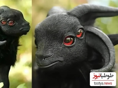 12 حیوان عجیب که اگر ازشون فیلم نمی‌گرفتن، هیچ‌کس باورش نمی‌کرد وجود دارن!