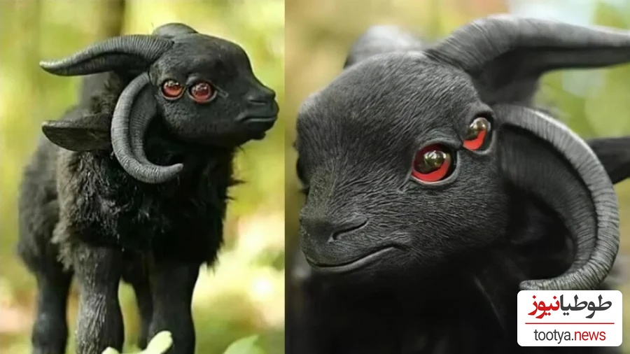 12 حیوان عجیب که اگر ازشون فیلم نمی‌گرفتن، هیچ‌کس باورش نمی‌کرد وجود دارن!