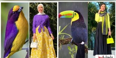 (تصاویر)برای ست کردن رنگ لباس در تابستون مشکل داری از پرنده ها یاد بگیر!/الهام از طبیعت 
 و شیک ترین استایل