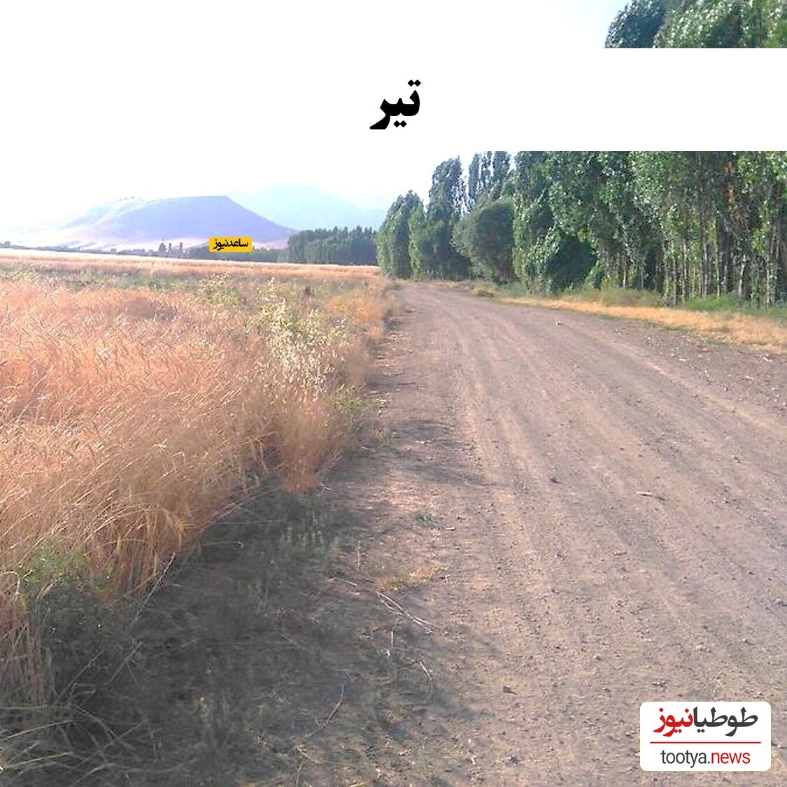 تیر
