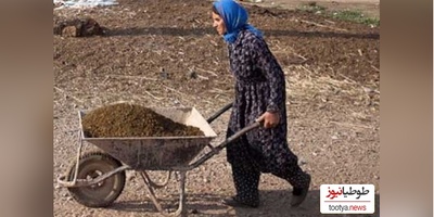 خلاقیت تحسین‌برانگیز و خنده‌دار "کشاورز تبریزی" در تبدیل وان حمام به باغی از بهشت حماسه‌ آفرید / نبینی از دستت رفته😂