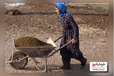 خلاقیت تحسین‌برانگیز و خنده‌دار "کشاورز تبریزی" در تبدیل وان حمام به باغی از بهشت حماسه‌ آفرید / نبینی از دستت رفته😂