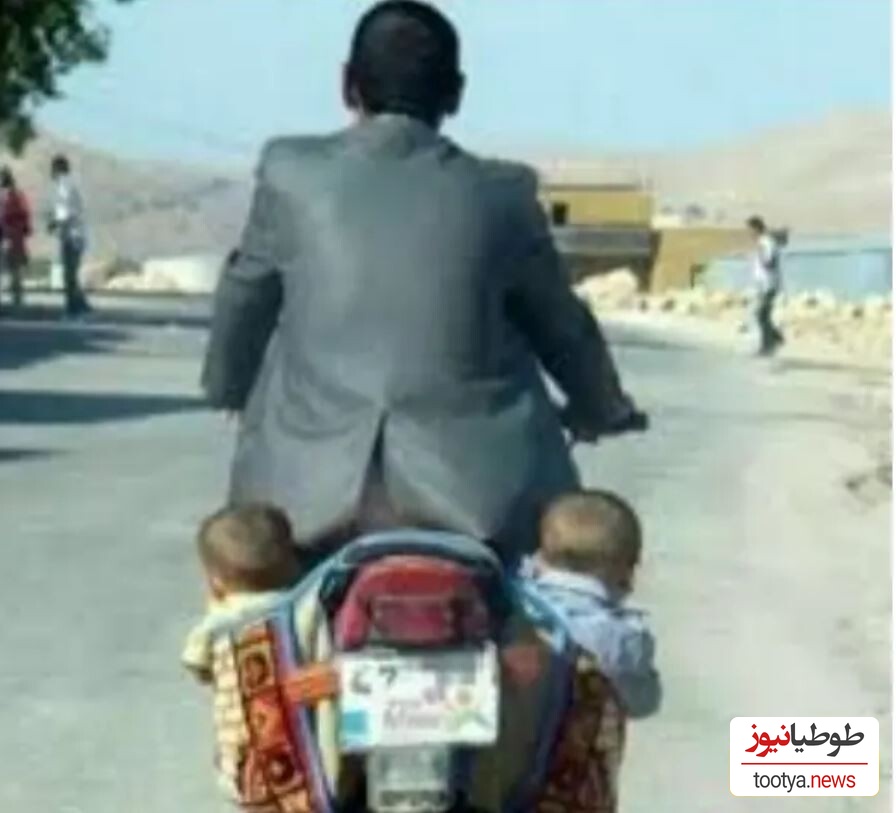 حمل دو قلو