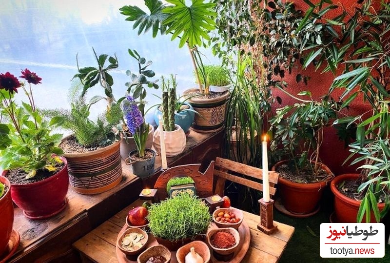 منزل شبنم مقدمی