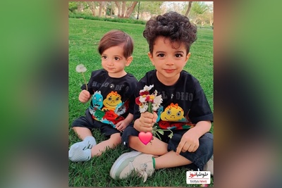 ویدئو/نگاهی به دکوراسیون منزل مجلل مهدیار کلائی سالارِ  سریال«پایتخت» / از مبلمان سلطنتی و مدرن و حیاط سرسبز شمال تا تابلوهای هنری و پرده‌های اعیانی+ تصاویر