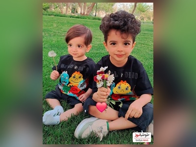 ویدئو/نگاهی به دکوراسیون منزل مجلل مهدیار کلائی سالارِ  سریال«پایتخت» / از مبلمان سلطنتی و مدرن و حیاط سرسبز شمال تا تابلوهای هنری و پرده‌های اعیانی+ تصاویر