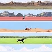 (ویدئو) انسان در برابر حیوانات/ در ماراتن 100 کیلومتری کدام یک پیروز است؟