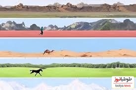 (ویدئو) انسان در برابر حیوانات/ در ماراتن 100 کیلومتری کدام یک پیروز است؟