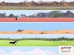 (ویدئو) انسان در برابر حیوانات/ در ماراتن 100 کیلومتری کدام یک پیروز است؟