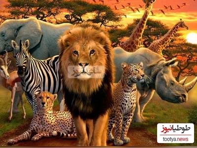 (ویدئو) با 10 مورد از قوی ترین حیوانات جهان آشنا شوید