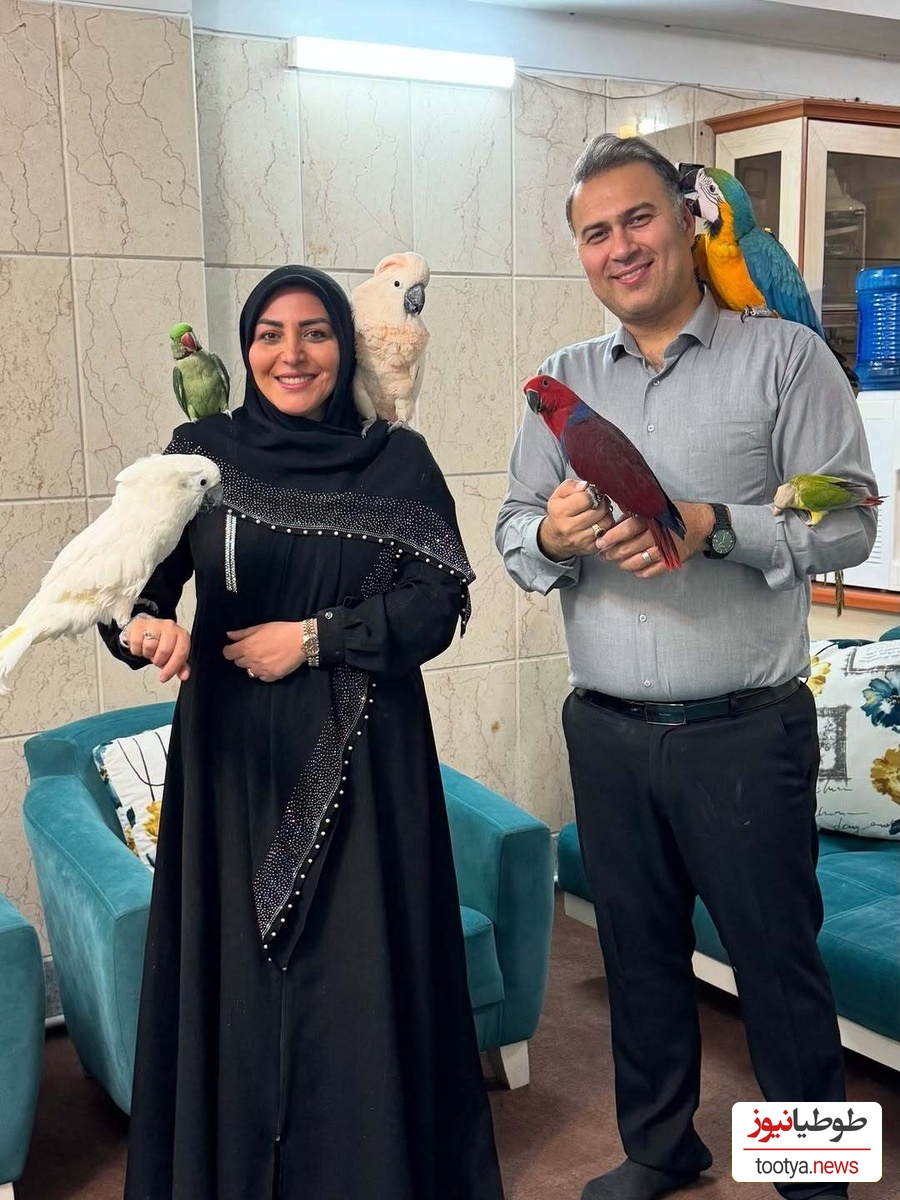 حال خوش المیرا شریفیمقدم با طوطیهای رنگارنگی که از سر و کولش بالا رفتن+ عکس/ چقدرم خوشگلن😍