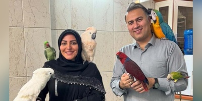 حال خوش المیرا شریفی‌مقدم با طوطی‌های رنگارنگی که از سر و کولش بالا رفتن+ عکس/ چقدرم خوشگلن😍