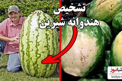 فیلم+ سه روش ساده و آسان برای تشخیص هندوانه شیرین و رسیده در روزهای گرم تابستان