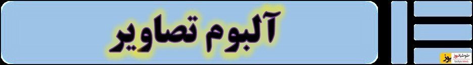 آلبوم تصاویر