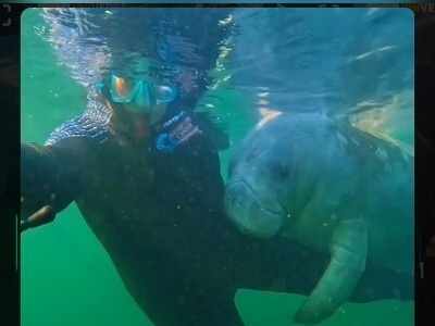 (ویدئو) عاشق‌ترین گاودریایی که تابحال دیده اید!/ علاقه عجیب گاو دریایی به غواص/ ببینین چطوری محکم پاشو بغل کرده ولم نمیکنه!