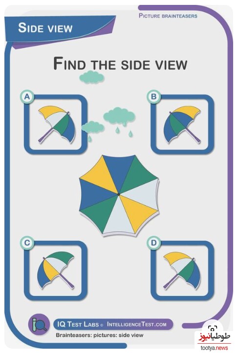 چالش روزانه‌ی باهوش شو!/ فقط افرادی با IQ بالای 100 میتوانند زیر 9 ثانیه این بازی فکری رو حل کنند/ کدوم گزینه نمای کناری چتر است؟