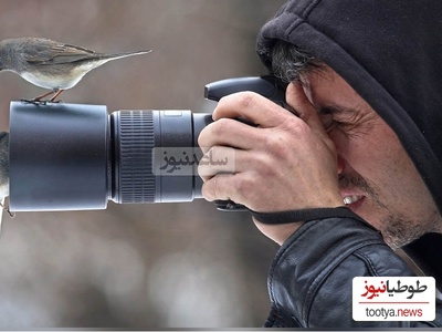 تصاویر حیرت‌انگیز حیات وحش که برنده‌ی مسابقه عکاسی بریتانیا 2024 شدند/ از اژدهای ریش‌دار واقعی تا هدیه‌ی جذاب درنای قطبی نر به جفتش