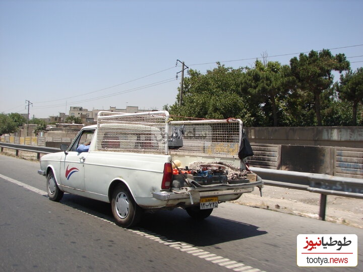 خلاقیت خنده دار راننده وانت طناز برای فروش گاز پیکنیک مشتری های دست به نقد را به خط کرد/ پول در آوردن سخت نیست فقط باید عاشق کارت باشی+فیلم