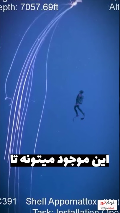 مگناپینا