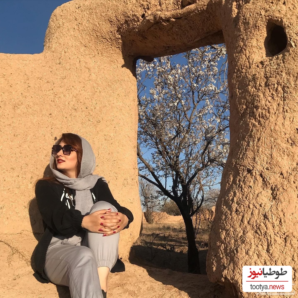 الهام طهموری