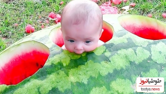 خلاقیت تحسین‌برانگیز و خنده‌دار "عروس تبریزی" درتزئین هندوانه با الهام از دندان حماسه آفرید / 1000 آفرین به این ذهن پر از ایده و خلاق🤣