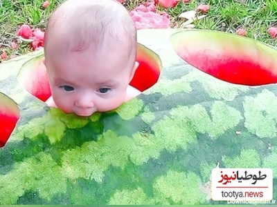 خلاقیت تحسین‌برانگیز و خنده‌دار "عروس تبریزی" درتزئین هندوانه با الهام از دندان حماسه آفرید / 1000 آفرین به این ذهن پر از ایده و خلاق🤣