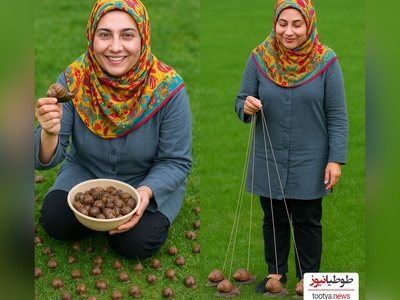 حلزون‌چرانی؛ شغل عجیب اما پردرآمدی که جیب این دختر ایرانی را در عرض 5 ماه پر از پول کرد! +ویدیو