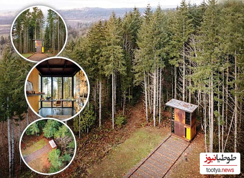 (عکس) نگاهی به معماری عجیب یک کلبه متحرک در دل جنگل