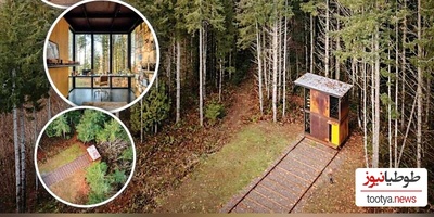 (عکس) نگاهی به معماری عجیب یک کلبه متحرک در دل جنگل