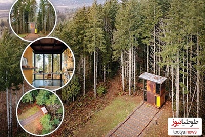 (عکس) نگاهی به معماری عجیب یک کلبه متحرک در دل جنگل