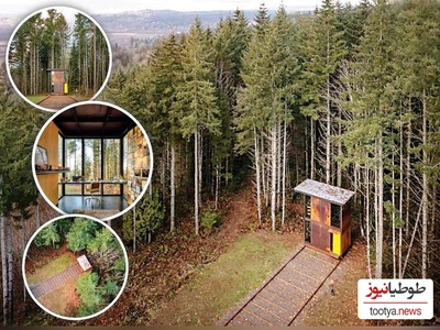 (عکس) نگاهی به معماری عجیب یک کلبه متحرک در دل جنگل