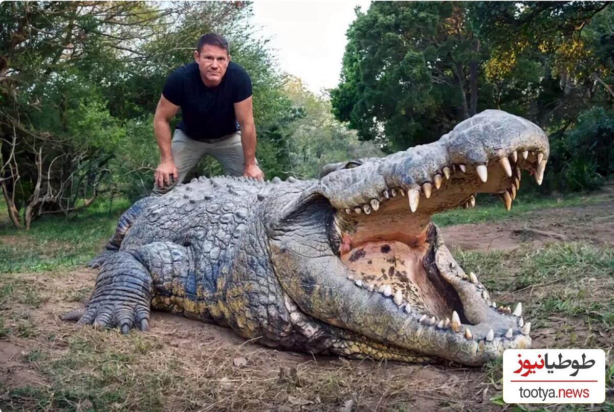 (ویدئو) مستند حیات وحش/راز بقا:خونمون یه تمساح دارم که سگ ها ازش مثل جن میترسن