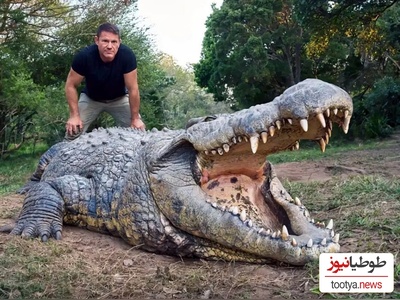 (ویدئو) مستند حیات وحش/راز بقا:خونمون یه تمساح دارم که سگ ها ازش مثل جن میترسن