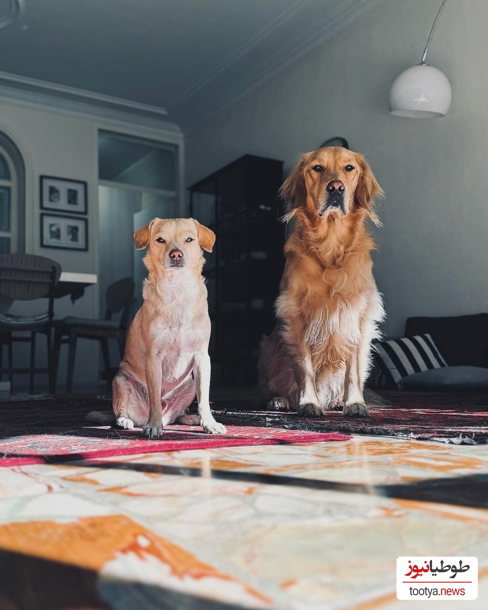 منزل شیدا خلیق و کیوان ساکت اف