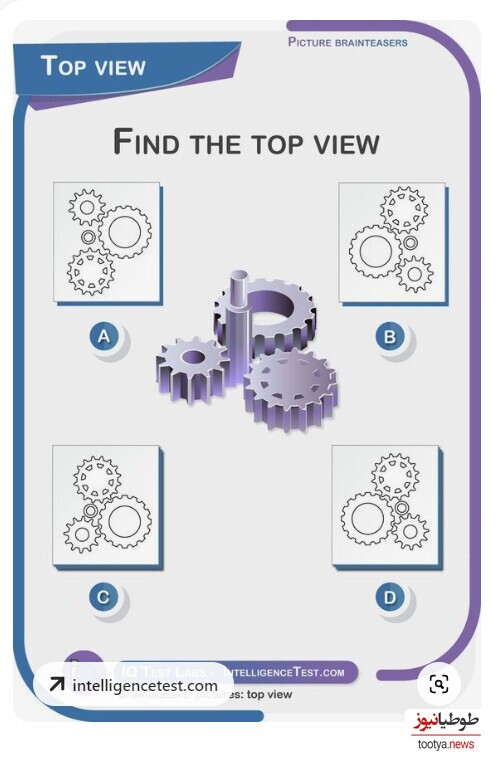 چالش روزانه‌ی باهوش شو!/ فقط افرادی که IQ بالای 120 دارن میتونن این معما رو حل کنند/  نمای بالایی این تصویر کدوم گزینه‌است؟