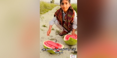 خلاقیت خنده‌دار پسر زاهدانی در برش هندوانه حماسه ای آفرید جهانی/بفرما تکنولوژی وطنی😂