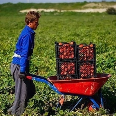 خلاقیت خنده‌دار "کشاورز تبریزی" در آبیاری  حماسه نیست پس چیه؟/ هنر نزد ایرانیان است و بس!