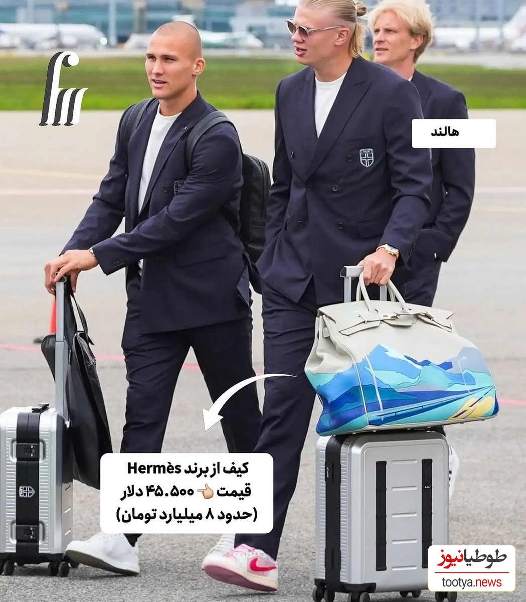 هالند
