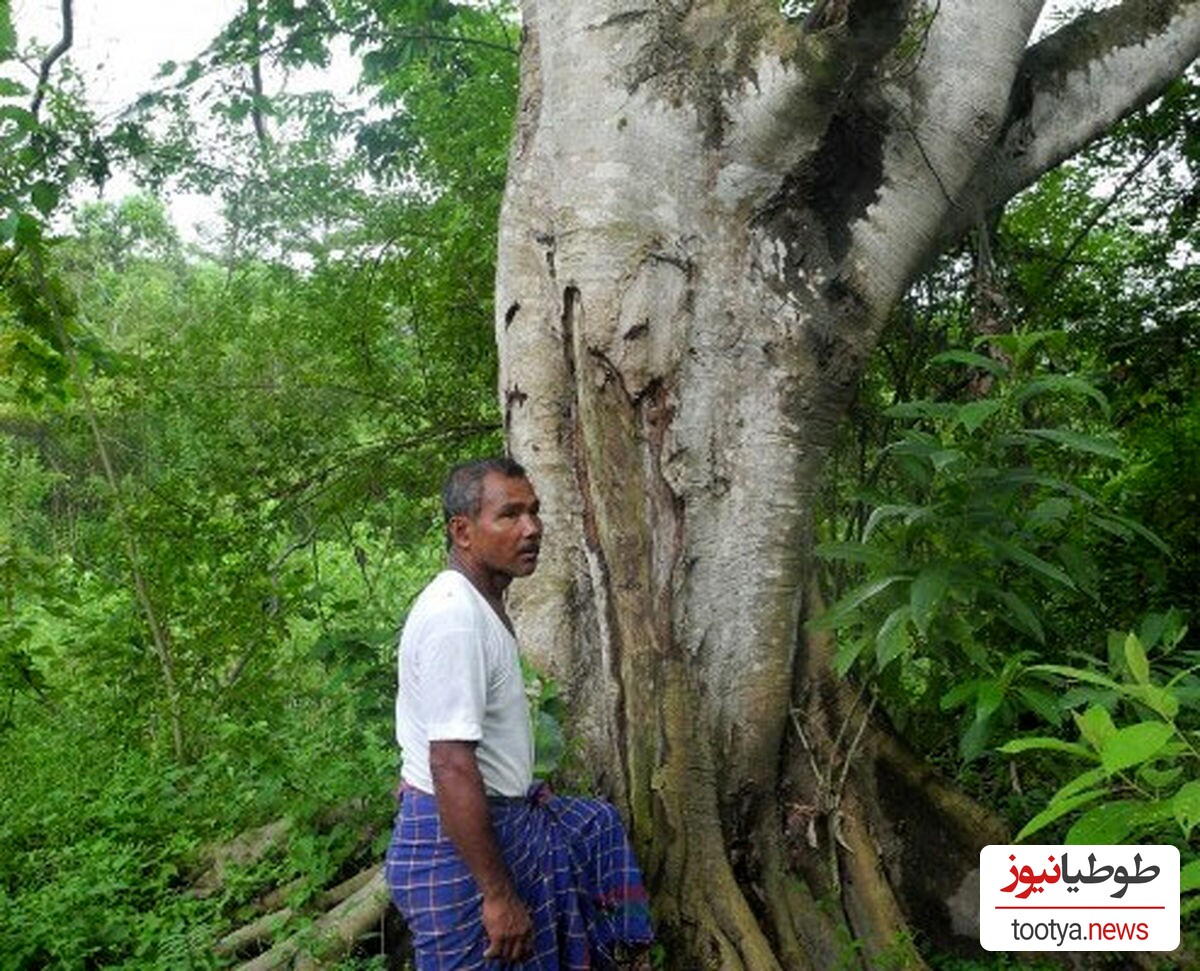 (تصاویر) مردی که به تنهایی از زمین بی آب و علف جنگل ساخت!/ حقایق جالب و دیدنی از این مرد هندی!