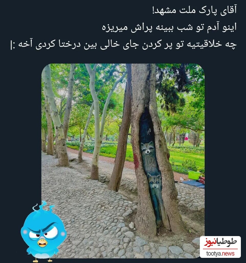 نقاشی روی درخت در پارک ملت مشهد